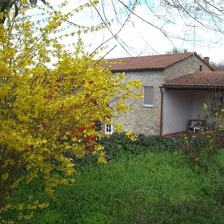 Agriturismo La Selva Siena Eksteriør billede