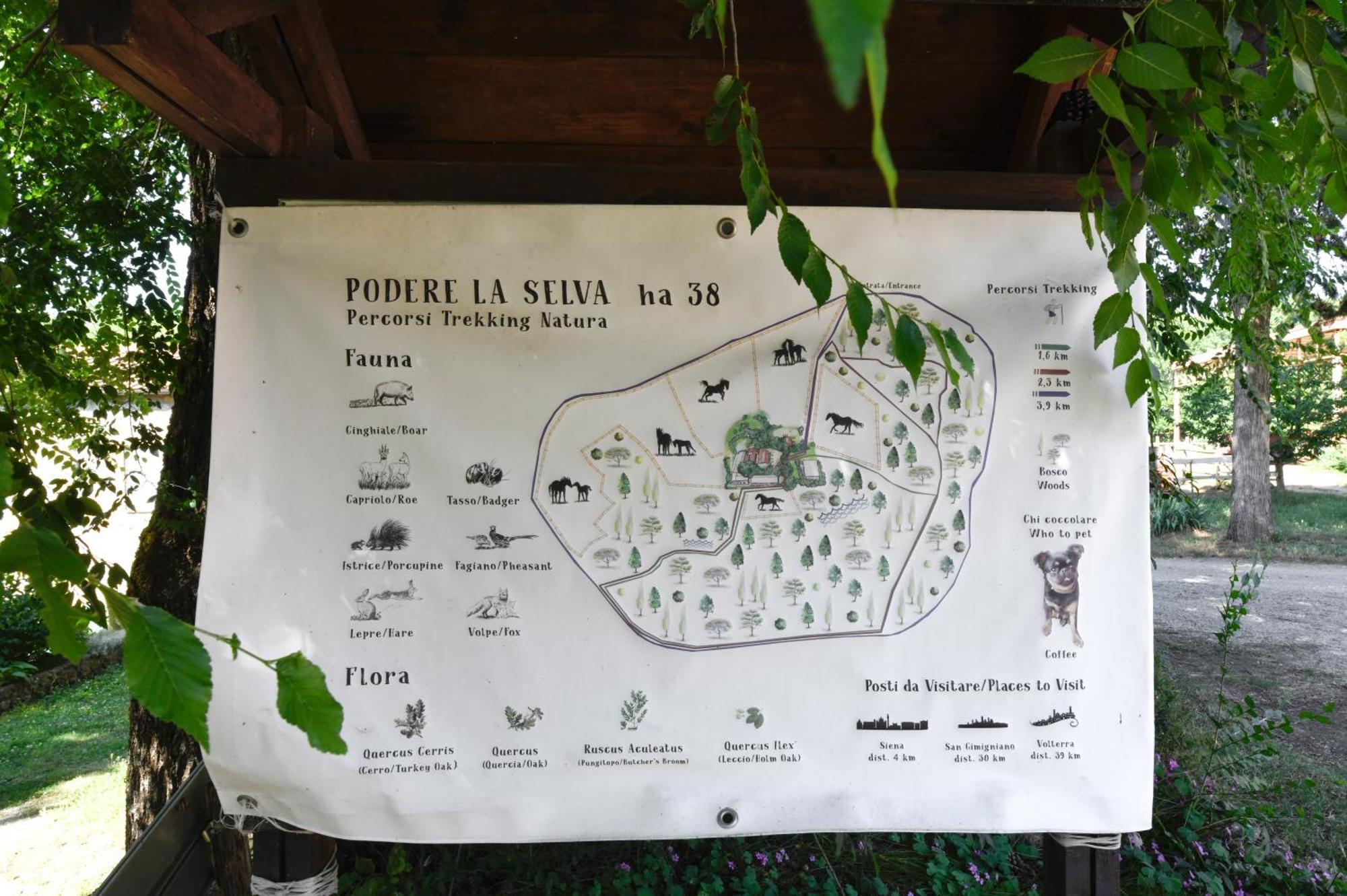 Agriturismo La Selva Siena Eksteriør billede