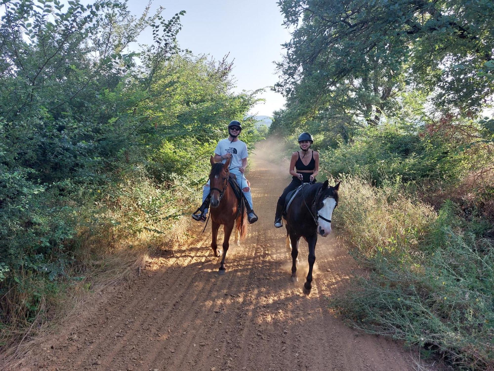 Agriturismo La Selva Siena Eksteriør billede