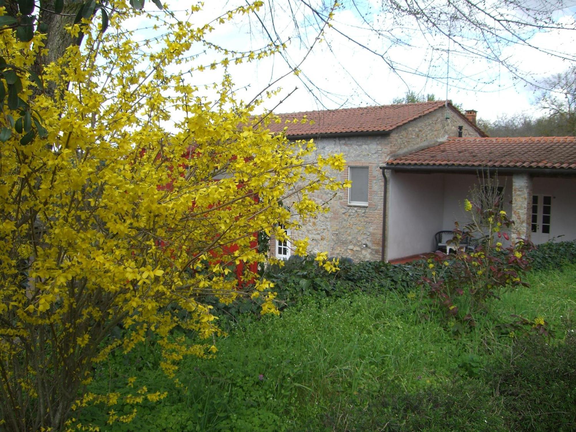Agriturismo La Selva Siena Eksteriør billede