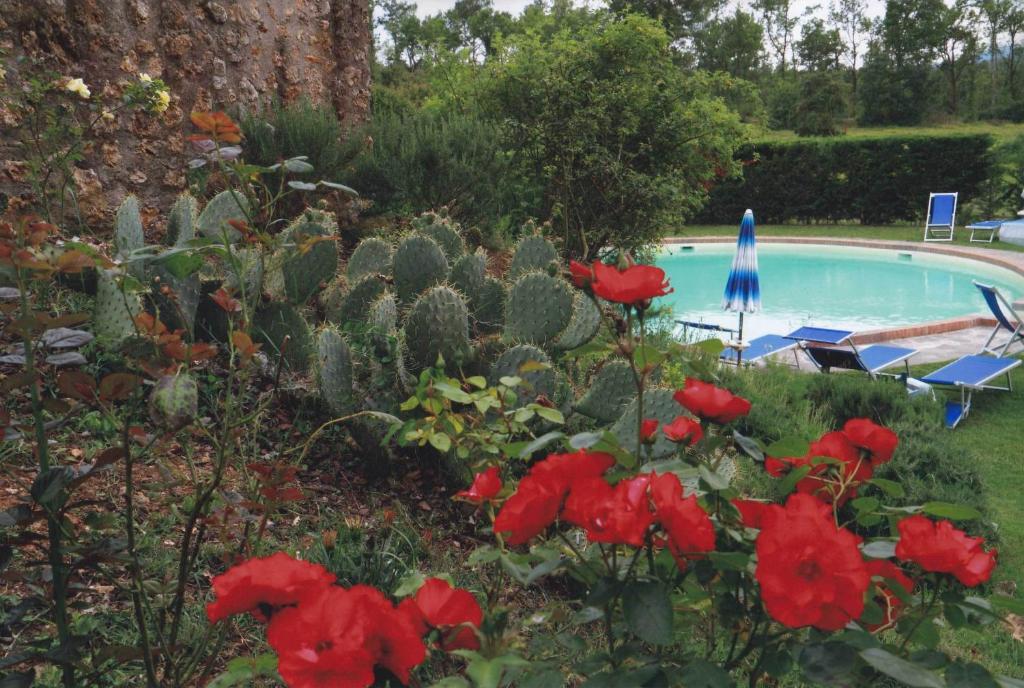 Agriturismo La Selva Siena Eksteriør billede