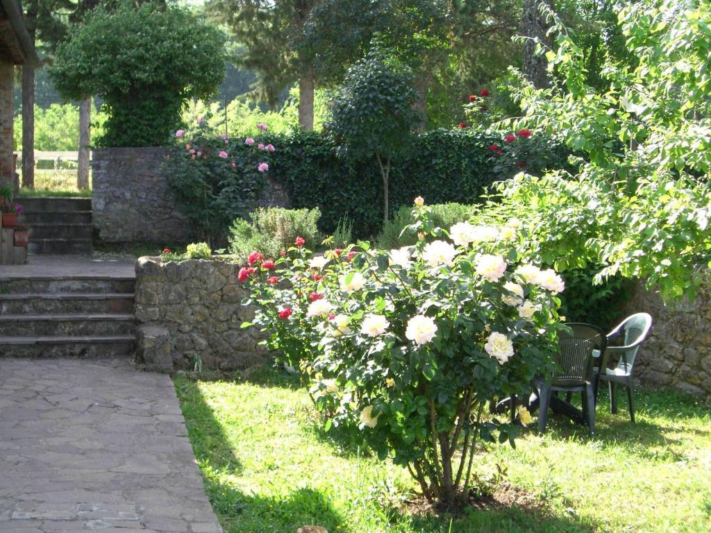 Agriturismo La Selva Siena Eksteriør billede