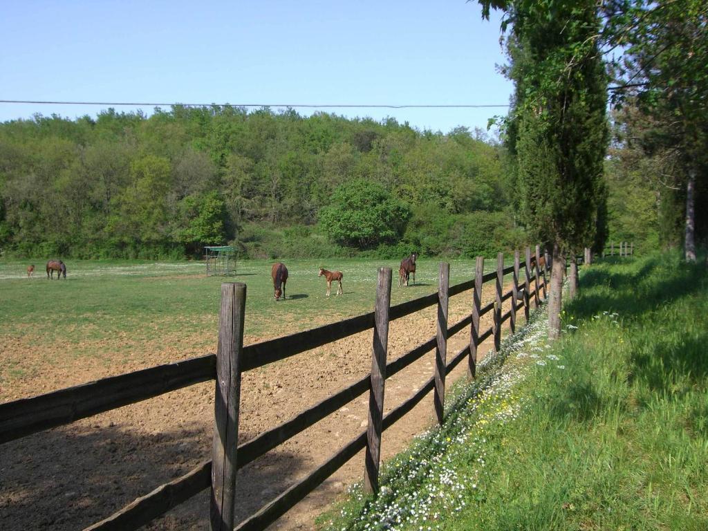 Agriturismo La Selva Siena Eksteriør billede
